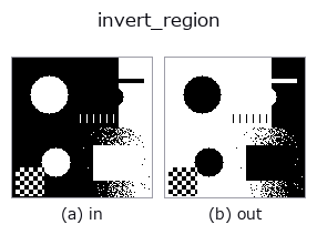 invert_region: input → output