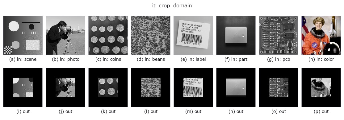 it_crop_domain: other inputs