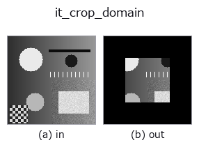 it_crop_domain: input → output