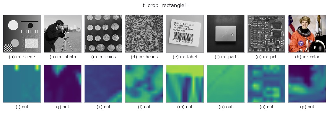 it_crop_rectangle1: other inputs