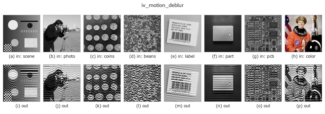 iv_motion_deblur: other inputs
