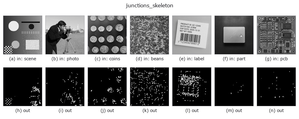 junctions_skeleton: other inputs