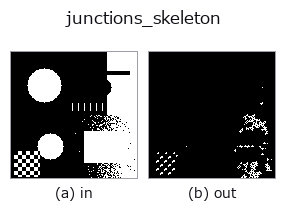 junctions_skeleton: input → output
