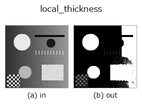 local_thickness: input → output