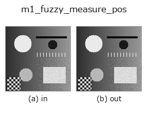 m1_fuzzy_measure_pos: input → output
