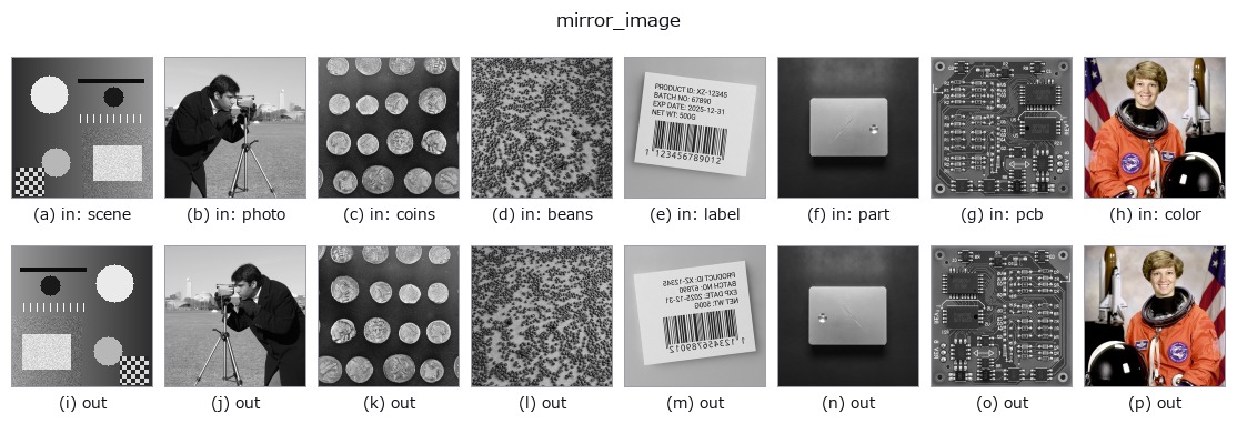 mirror_image: other inputs