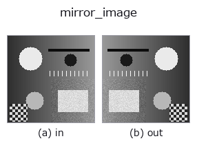 mirror_image: input → output