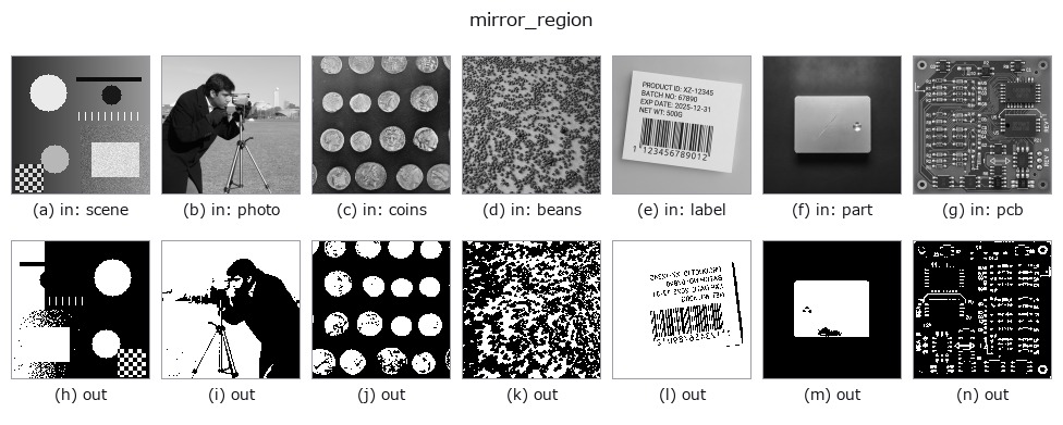 mirror_region: other inputs