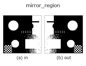 mirror_region: input → output