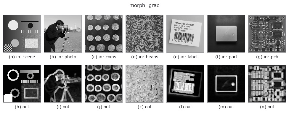 morph_grad: other inputs