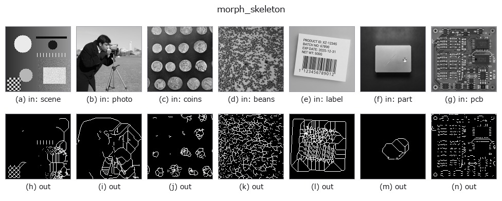 morph_skeleton: other inputs