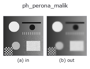 ph_perona_malik: input → output