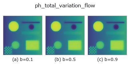 ph_total_variation_flow: knob b sweep
