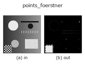 points_foerstner: input → output