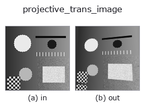 projective_trans_image: input → output