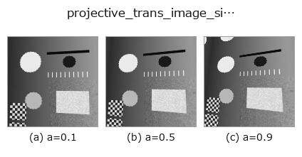 projective_trans_image_size: knob a sweep
