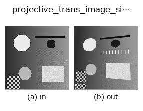 projective_trans_image_size: input → output
