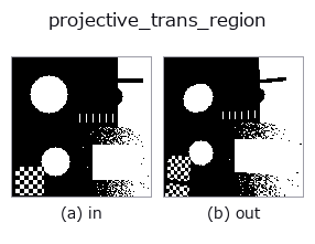 projective_trans_region: input → output