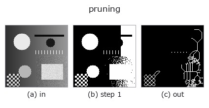 pruning: stages
