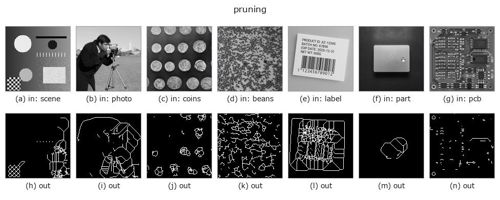 pruning: other inputs