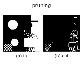 pruning: input → output