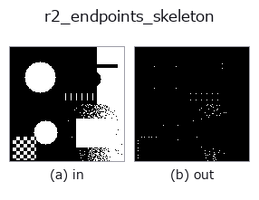 r2_endpoints_skeleton: input → output