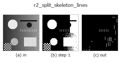 r2_split_skeleton_lines: stages