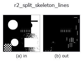 r2_split_skeleton_lines: input → output