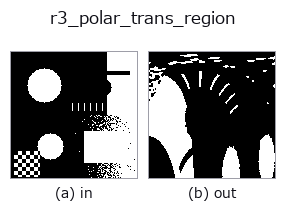 r3_polar_trans_region: input → output