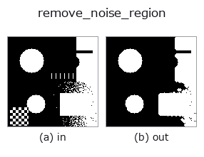 remove_noise_region: input → output