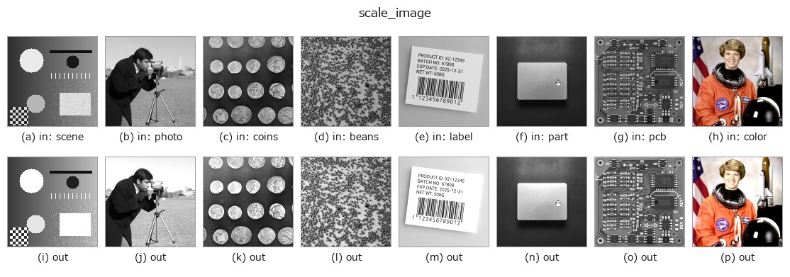 scale_image: other inputs