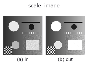 scale_image: input → output