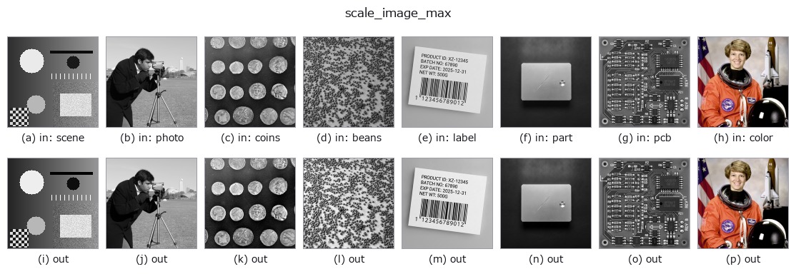 scale_image_max: other inputs