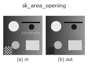 sk_area_opening: input → output