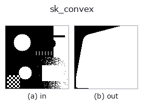 sk_convex: input → output