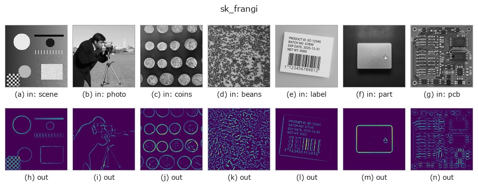 sk_frangi: other inputs