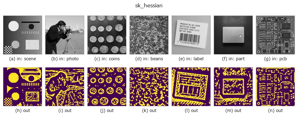 sk_hessian: other inputs