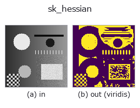 sk_hessian: input → output