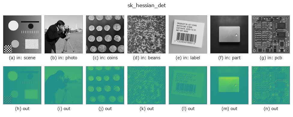sk_hessian_det: other inputs