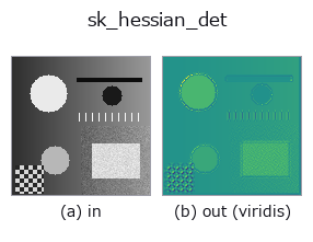 sk_hessian_det: input → output