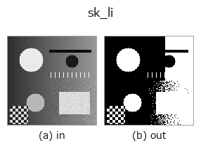 sk_li: input → output