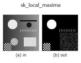 sk_local_maxima: input → output