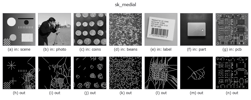 sk_medial: other inputs