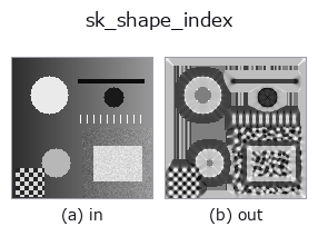 sk_shape_index: input → output