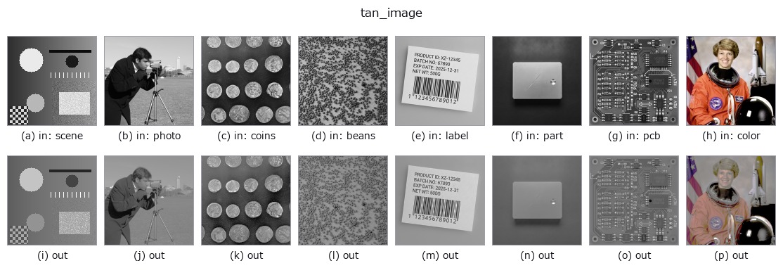 tan_image: other inputs
