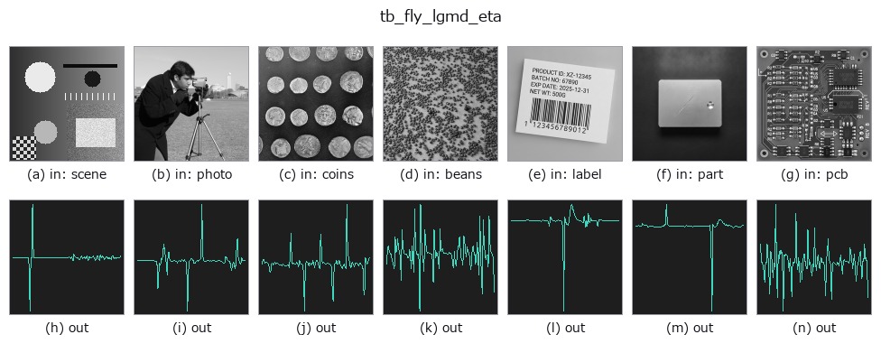 tb_fly_lgmd_eta: other inputs
