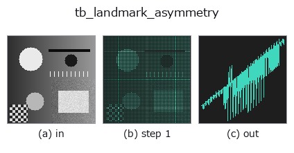 tb_landmark_asymmetry: stages