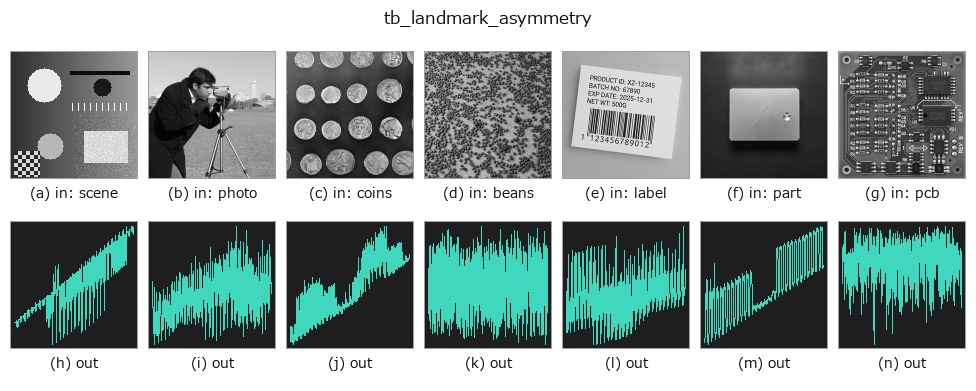 tb_landmark_asymmetry: other inputs