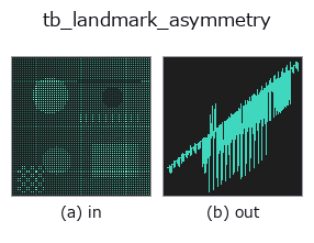 tb_landmark_asymmetry: input → output