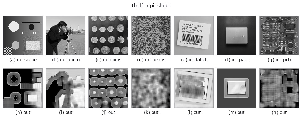 tb_lf_epi_slope: other inputs